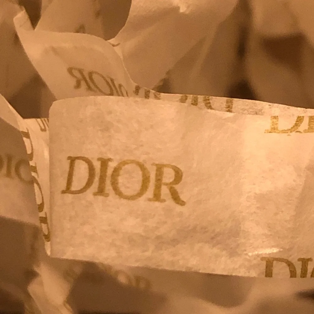Dior - Picture 5 of 14